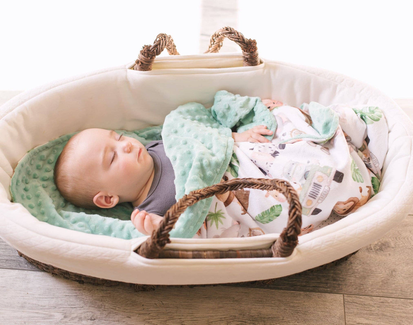Safari- Baby & Toddler Minky Blanket