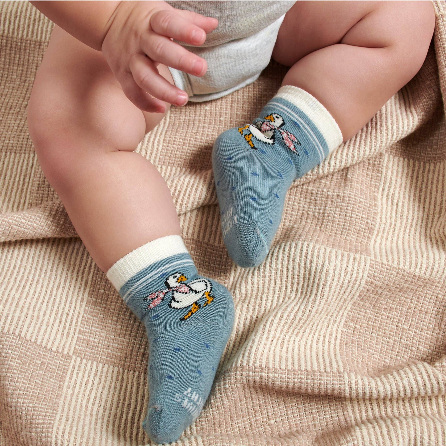 Garden Friends Baby Sock Set