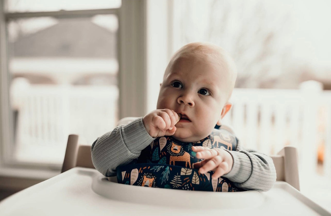 Zoo Lion Print Silicone Bib with Crumb Catcher